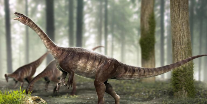 Descubren uno de los dinosaurio de cuello largo más antiguo del mundo