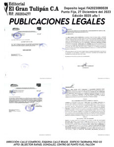 Publicación del Registro Mercantil de la empresa TECH HIVE, C.A