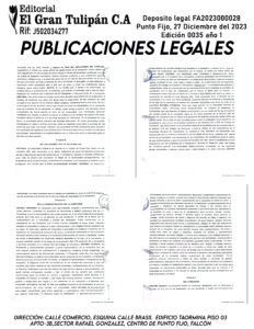 Publicación del Registro Mercantil de la empresa Sebasgurt_PF C.A