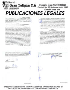 Publicación del Registro Mercantil de la empresa TECH HIVE, C.A