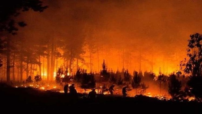 Siete heridos y 800 hectáreas calcinadas tras incendios en Chile