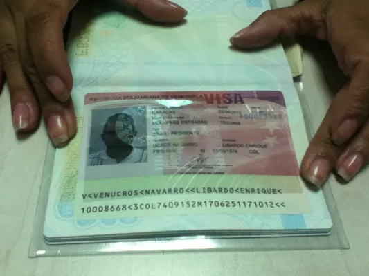 Nueva visa electrónica en Venezuela: Cómo hacer el trámite digital