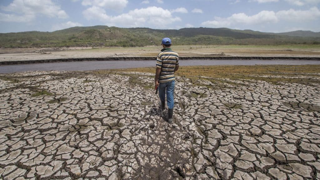 Fenómeno de El Niño traerá sequía y altas temperaturas a Venezuela a partir de octubre